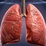 Untitled design - 2026-04-12T143550.152